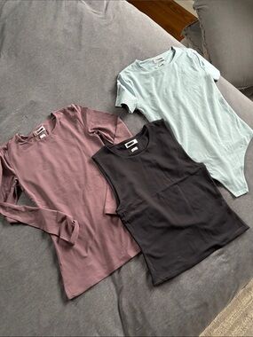 Aritzia 3 NEW Bodysuit & Tops Clean Girl Aesthetic Mauve, Black, Light Blue